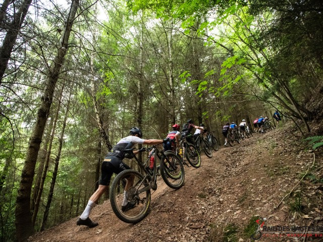 RDHF 2023 - Raid des Hautes Fagnes - photo 73