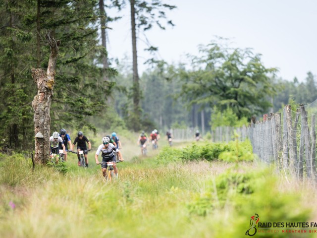 RDHF 2023 - Raid des Hautes Fagnes - photo 97