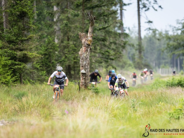 RDHF 2023 - Raid des Hautes Fagnes - photo 98