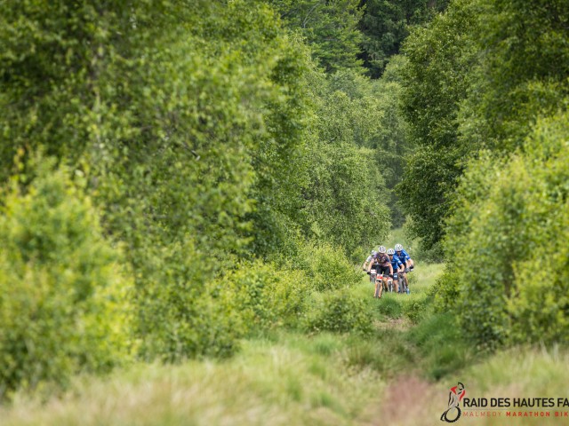 RDHF 2023 - Raid des Hautes Fagnes - photo 111