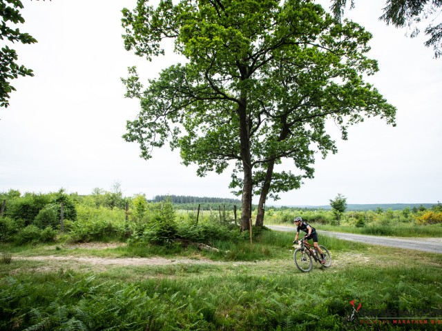 RDHF 2023 - Raid des Hautes Fagnes - photo 138