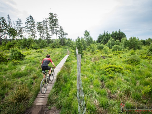 RDHF 2023 - Raid des Hautes Fagnes - photo 144
