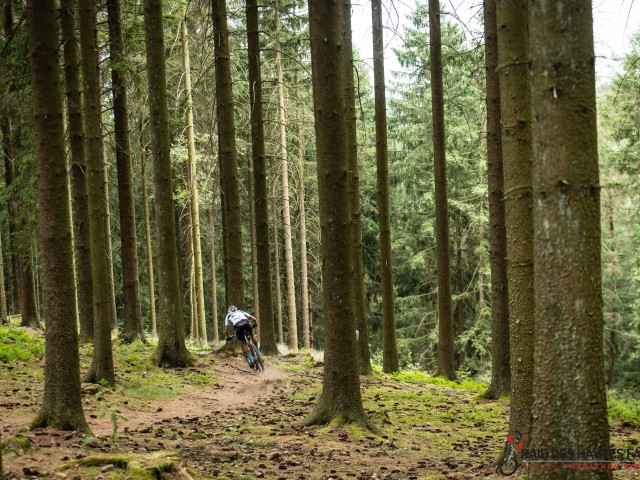 RDHF 2023 - Raid des Hautes Fagnes - photo 161