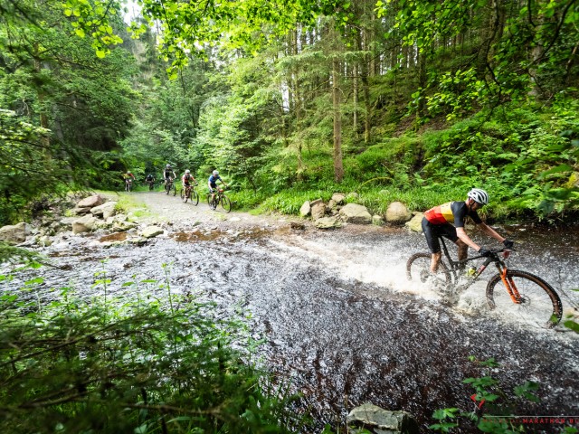RDHF 2024 - Raid des Hautes Fagnes - photo 79