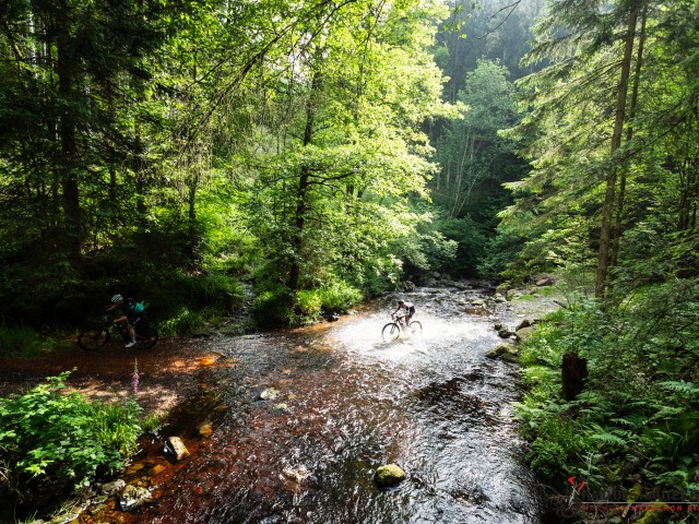 RDHF 2024 - Raid des Hautes Fagnes - photo 90