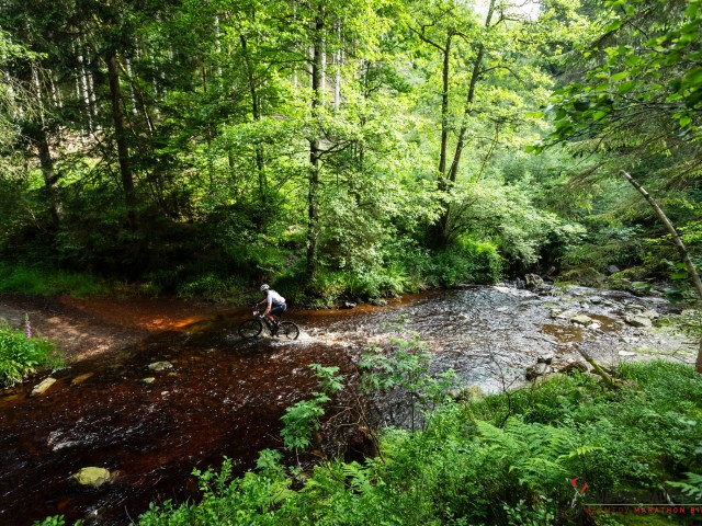 RDHF 2024 - Raid des Hautes Fagnes - photo 91