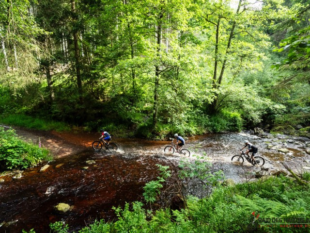 RDHF 2024 - Raid des Hautes Fagnes - photo 92