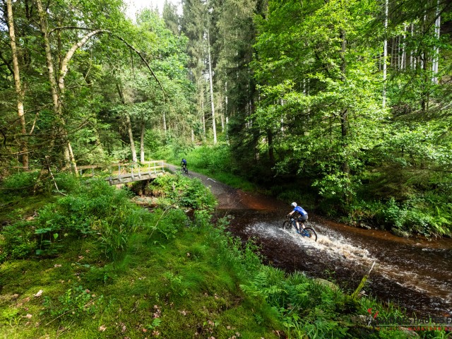 RDHF 2024 - Raid des Hautes Fagnes - photo 94