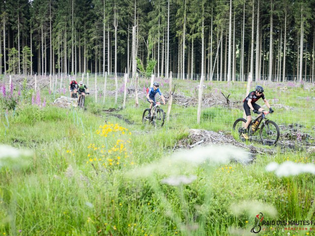 RDHF 2024 - Raid des Hautes Fagnes - photo 111