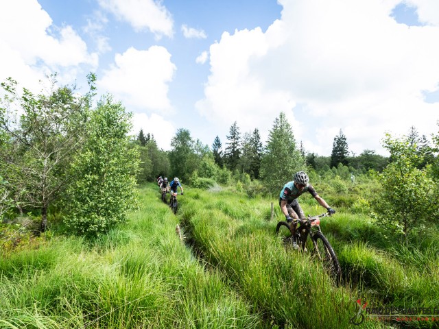 RDHF 2024 - Raid des Hautes Fagnes - photo 119