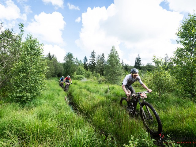 RDHF 2024 - Raid des Hautes Fagnes - photo 122