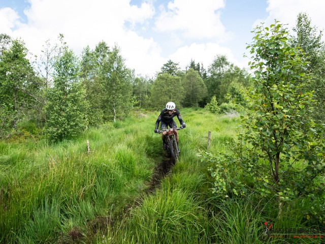 RDHF 2024 - Raid des Hautes Fagnes - photo 127