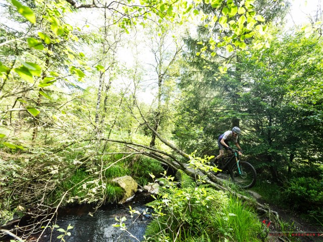 RDHF 2024 - Raid des Hautes Fagnes - photo 129