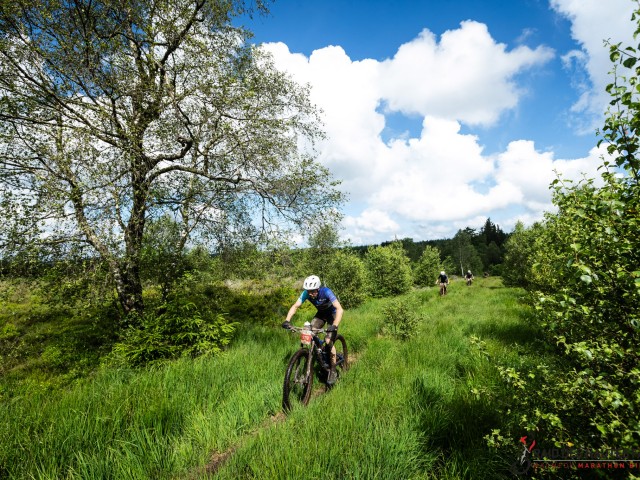 RDHF 2024 - Raid des Hautes Fagnes - photo 133