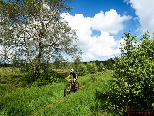 RDHF 2024 - Raid des Hautes Fagnes - photo 134