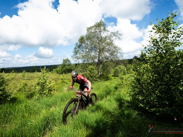 RDHF 2024 - Raid des Hautes Fagnes - photo 135