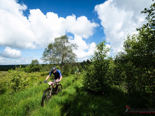 RDHF 2024 - Raid des Hautes Fagnes - photo 136