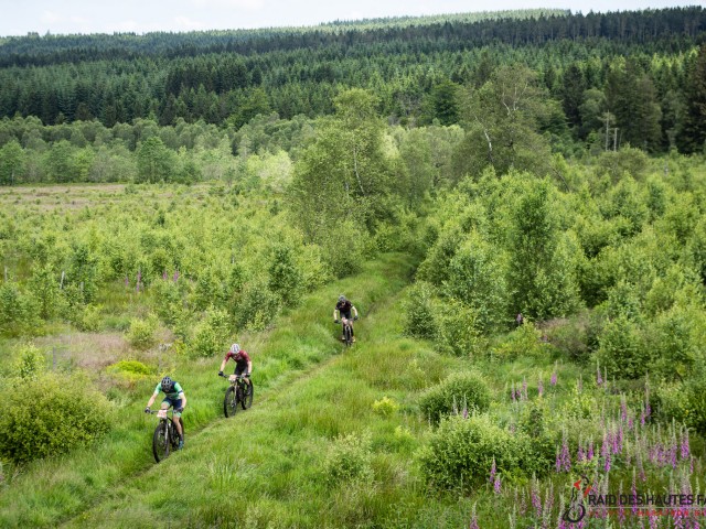RDHF 2024 - Raid des Hautes Fagnes - photo 141