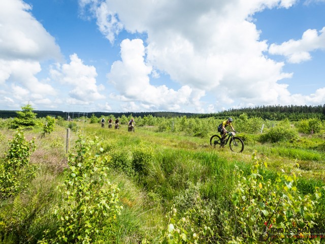 RDHF 2024 - Raid des Hautes Fagnes - photo 146