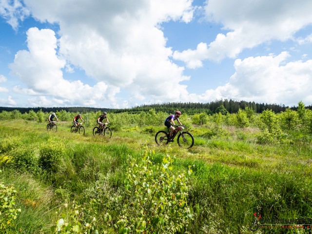 RDHF 2024 - Raid des Hautes Fagnes - photo 147
