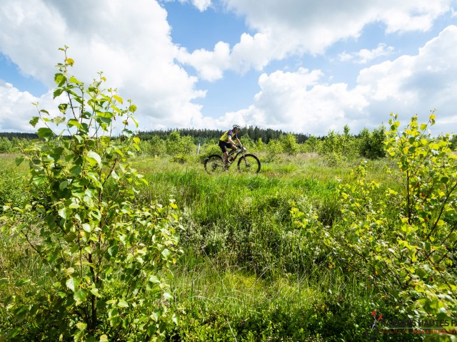 RDHF 2024 - Raid des Hautes Fagnes - photo 148