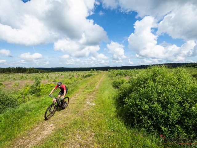 RDHF 2024 - Raid des Hautes Fagnes - photo 149