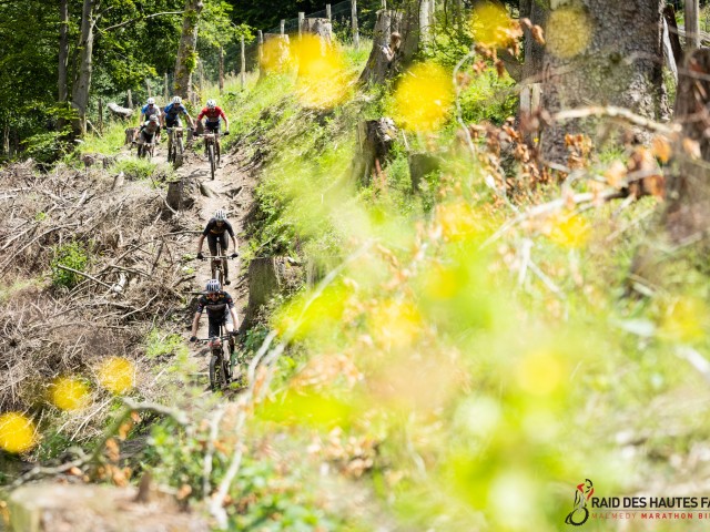 RDHF 2024 - Raid des Hautes Fagnes - photo 179