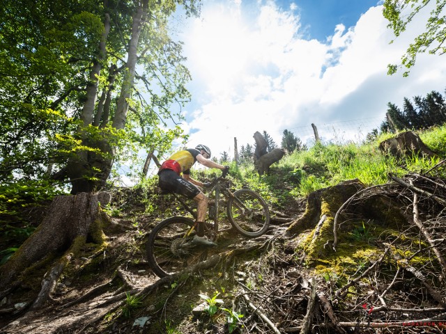 RDHF 2024 - Raid des Hautes Fagnes - photo 188