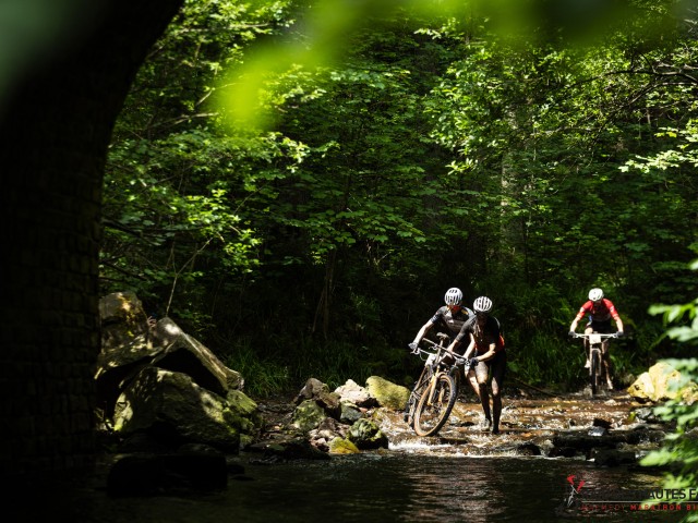 RDHF 2024 - Raid des Hautes Fagnes - photo 213