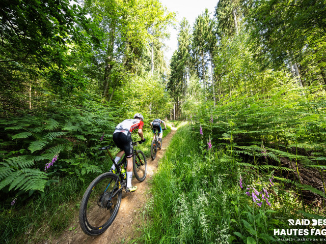 RDHF 2025 - Raid des Hautes Fagnes - photo 119