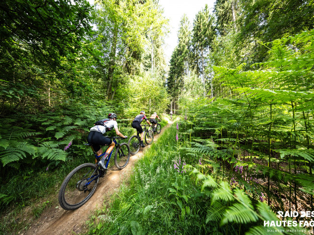 RDHF 2025 - Raid des Hautes Fagnes - photo 120