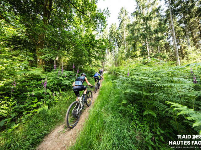 RDHF 2025 - Raid des Hautes Fagnes - photo 121