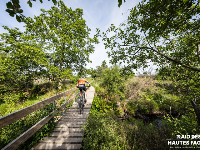 RDHF 2025 - Raid des Hautes Fagnes - photo 126