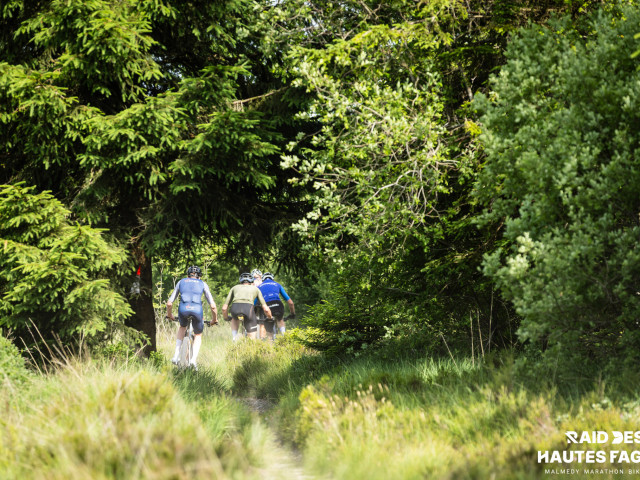 RDHF 2025 - Raid des Hautes Fagnes - photo 131