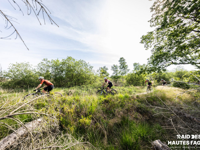 RDHF 2025 - Raid des Hautes Fagnes - photo 132