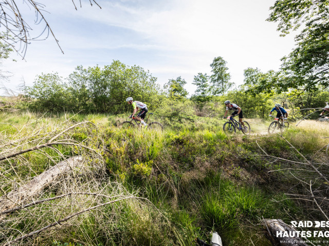 RDHF 2025 - Raid des Hautes Fagnes - photo 133