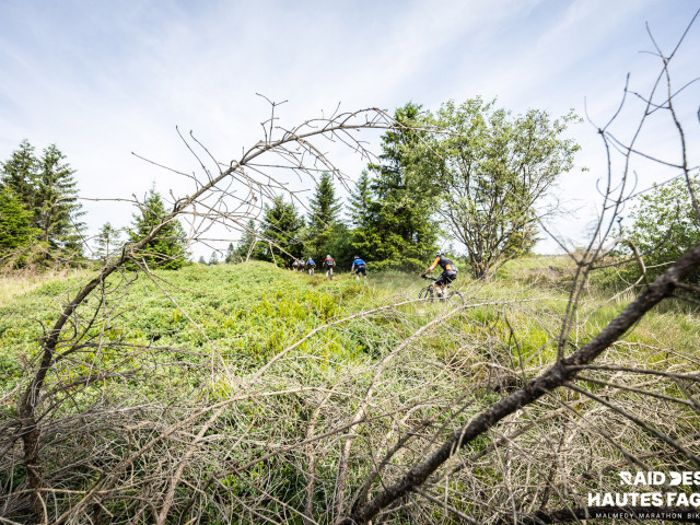 RDHF 2025 - Raid des Hautes Fagnes - photo 135