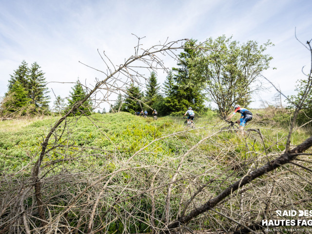 RDHF 2025 - Raid des Hautes Fagnes - photo 136