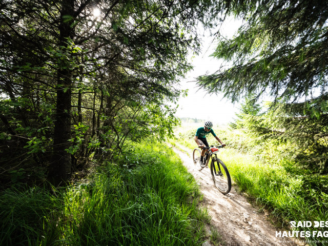 RDHF 2025 - Raid des Hautes Fagnes - photo 151