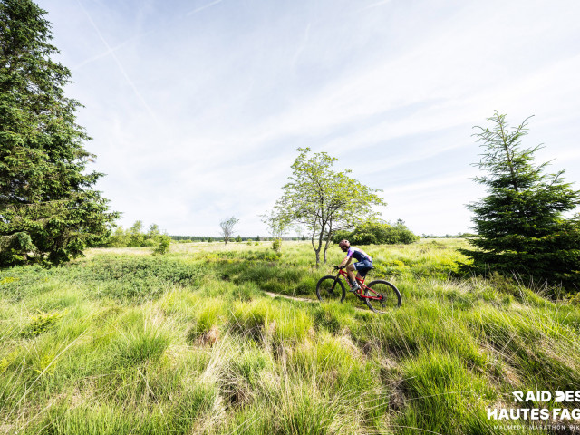 RDHF 2025 - Raid des Hautes Fagnes - photo 155