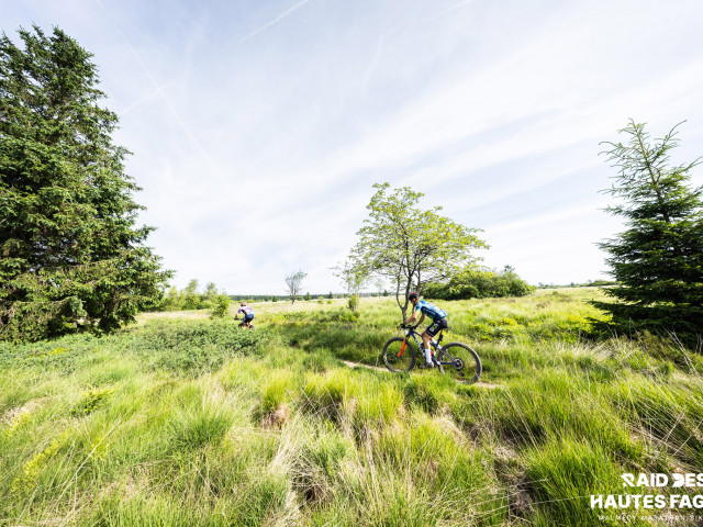 RDHF 2025 - Raid des Hautes Fagnes - photo 156