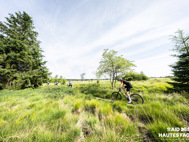 RDHF 2025 - Raid des Hautes Fagnes - photo 157