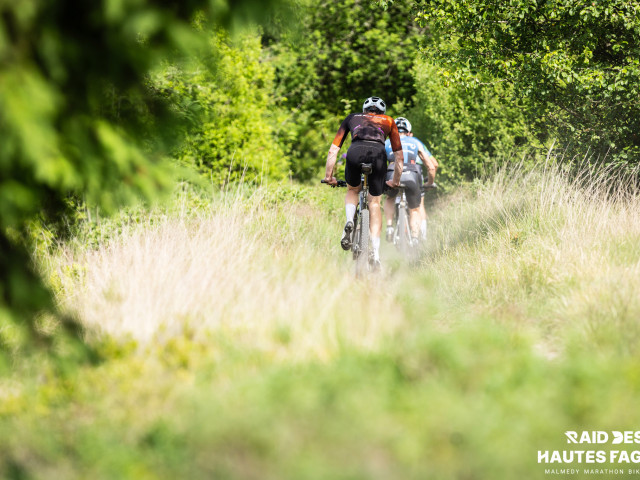 RDHF 2025 - Raid des Hautes Fagnes - photo 158