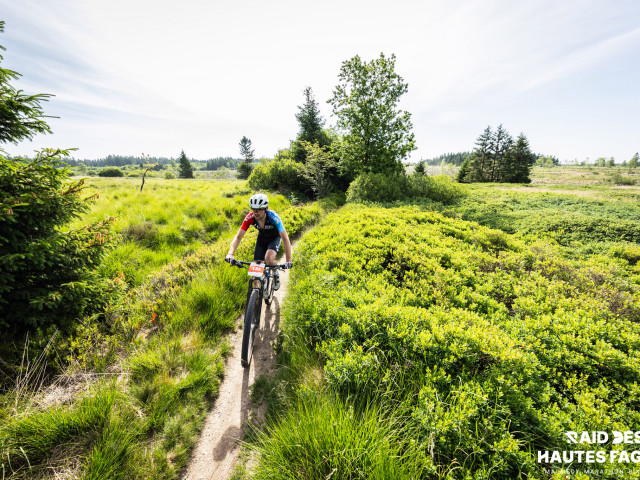 RDHF 2025 - Raid des Hautes Fagnes - photo 159