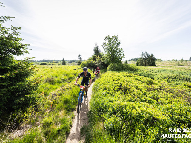 RDHF 2025 - Raid des Hautes Fagnes - photo 160