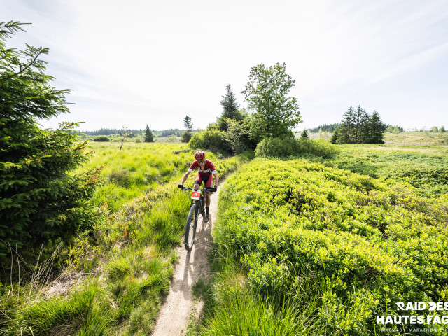 RDHF 2025 - Raid des Hautes Fagnes - photo 161