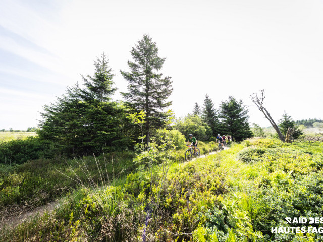 RDHF 2025 - Raid des Hautes Fagnes - photo 167