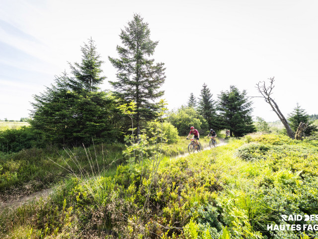 RDHF 2025 - Raid des Hautes Fagnes - photo 168