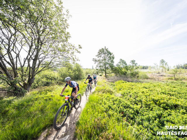 RDHF 2025 - Raid des Hautes Fagnes - photo 175