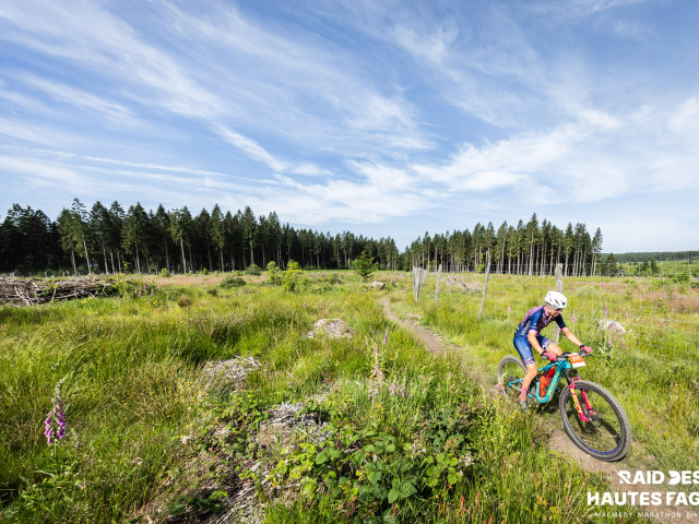 RDHF 2025 - Raid des Hautes Fagnes - photo 187